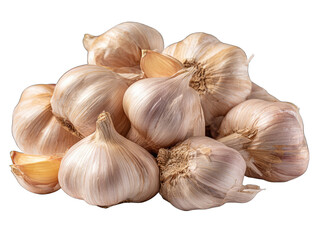 Fresh garlic bulbs clustered together