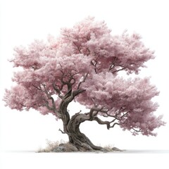 Beautiful pink cherry blossom tree with intricate branches and vibrant foliage isolated on a white background