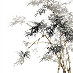 Elegant bamboo plant with delicate green leaves and slender stems against a soft, blurred background in natural light