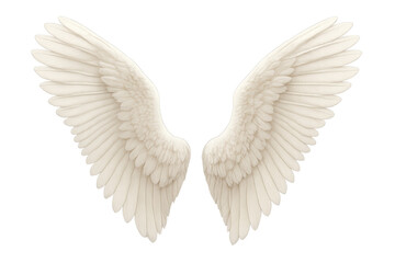 White feathered wings spreading wide, isolated against transparent backdrop, embodying celestial ethereal essence