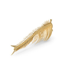 Fish Vertebrae Bones Isolated on Transparent Background
