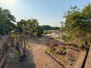 A barren field with a few trees and a small garden