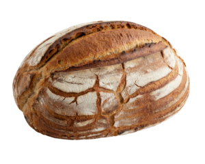 fresh sourdough bread loaf on white background
