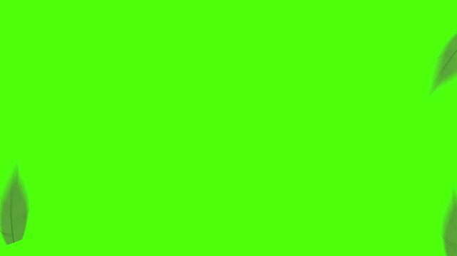Simple leaf transition green screen animation overlay.