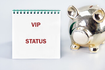 The VIP STATUS concept phrase. Business concept. A place to copy. Success,high-status, events,...