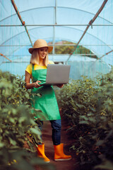 Modern Farmer with Laptop in a Tomato Greenhouse. Person adapted to new technologies applying them in agriculture 
