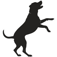 silhouette dog on white background