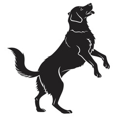 silhouette dog on white background