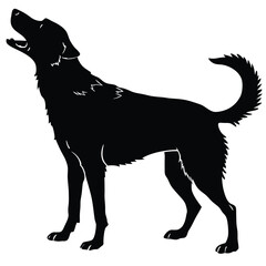 silhouette dog on white background