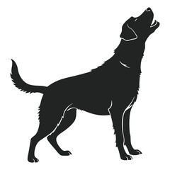 silhouette dog on white background