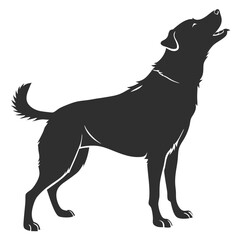 silhouette dog on white background