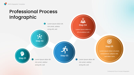 Professional Process Infographic Template