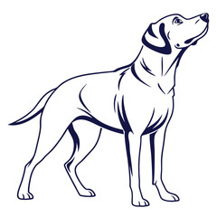 silhouette dog on white background