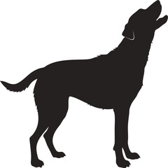 silhouette dog on white background