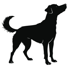 silhouette dog on white background