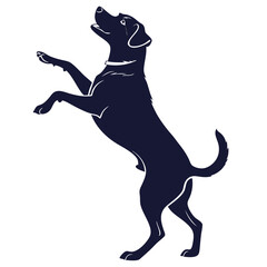 silhouette dog on white background