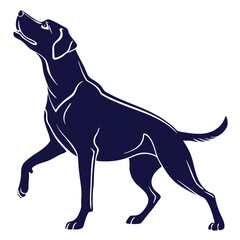 silhouette dog on white background