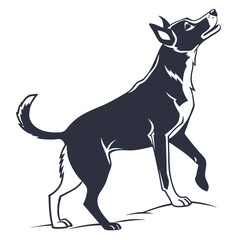silhouette dog on white background