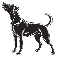 silhouette dog on white background