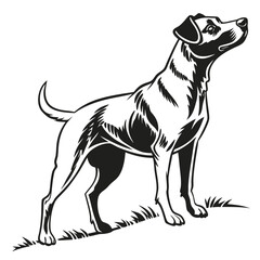 silhouette dog on white background