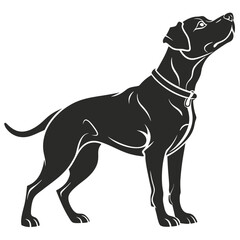 Obraz premium silhouette dog on white background