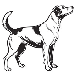 silhouette dog on white background