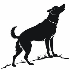 silhouette dog on white background