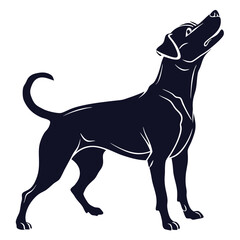 silhouette dog on white background