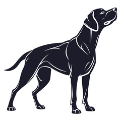 silhouette dog on white background