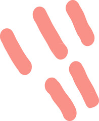 Hand Drawn Colorful Doodle Elements