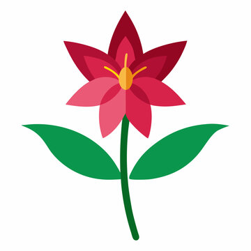 xyris flower on white background 