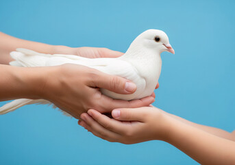 Close-up of adult and child hands gently holding a white dove, symbolizing peace, care, and protection, against a bright blue background. Bird.