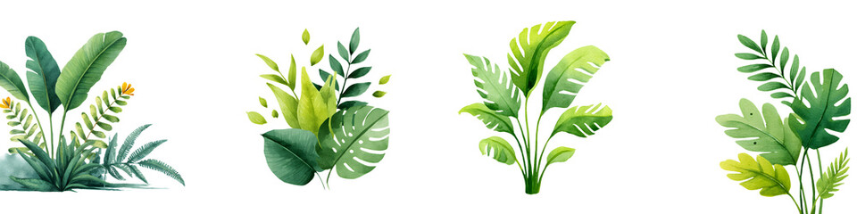 Lush tropical foliage plants in natural setting