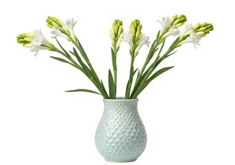 Tuberose Flowers in Light Blue Vase isolated on a transparent background 1