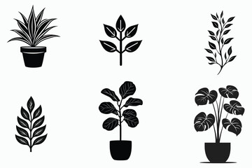 set of plant