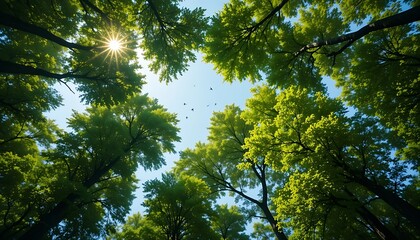 Looking Up Through a Lush Green Tree Canopy with Sunbeams Piercing a Bright Blue Sky - Forest Nature Scenery