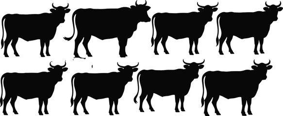 Cow silhouette vector set, domestic cattle illustrations, farm animal graphics, black cow design bundle for agriculture