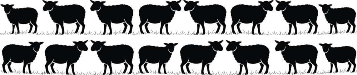 Black sheep silhouette vector set, farm animal illustration, group of sheep standing on grass, rural livestock clipart collection.