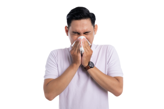 Asian man sneezing into tissue with eyes closed suffering from cold or allergy isolated on transparent background