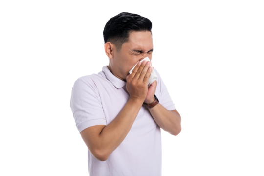 Asian man sneezing into tissue with eyes closed suffering from cold or allergy isolated on transparent background