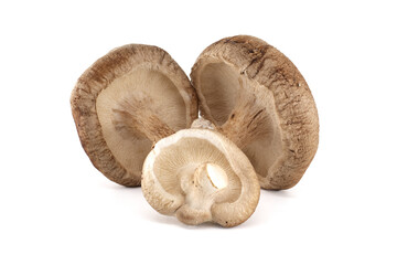 Close-Up View of Shiitake Mushrooms Isolated on White Background