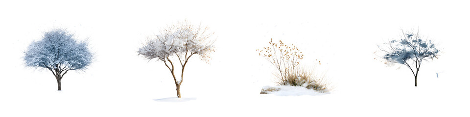 Fototapeta premium Serene winter landscape with solitary trees