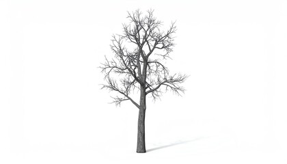 A striking visualization of a bare tree rendered in 3d with detailed textures and lifeless branches isolated on white