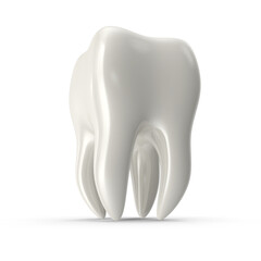 Realistic Human Tooth Anatomy Model Isolated on Transparent Background