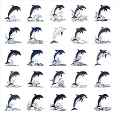 Obraz premium silhouette dolphin on white background