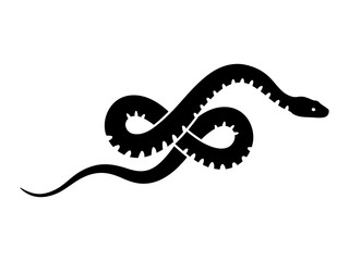 Minimalist snake drawing in tribal silhouette vector, coiled serpent line art design for tattoo or decor
