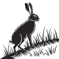 silhouette rabbit on white background