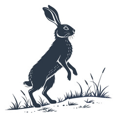 silhouette rabbit on white background