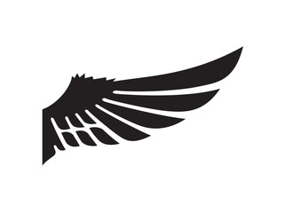 A Single Wing of an Bird in the Dark Night