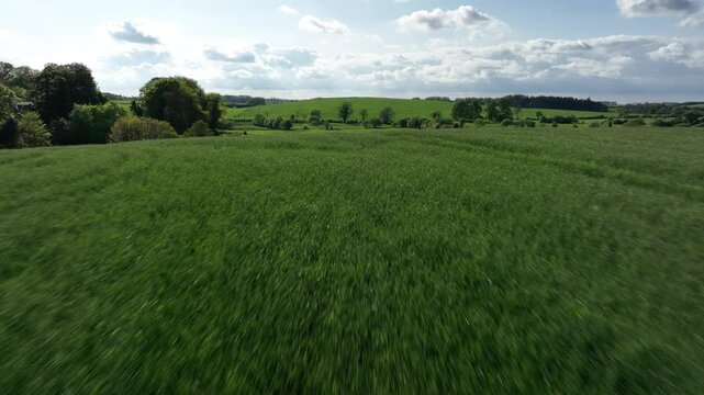 Caledon Border Wall, County Tyrone, Northern Ireland, May 2023. Drone moving forward, scenic stone heritage lush farmlands, green pastures and cloudy, countryside view.